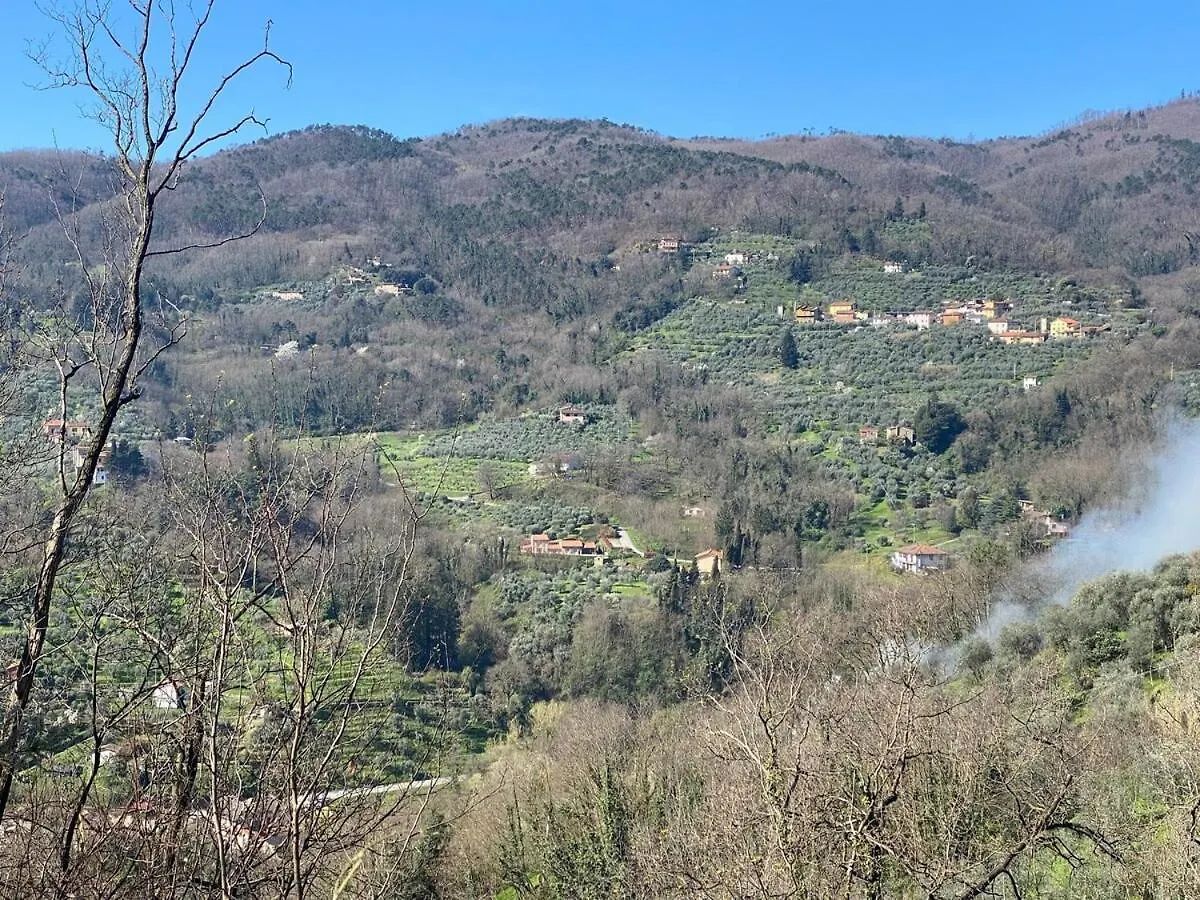 Elegant Tuscany Mountain Villa Momigno